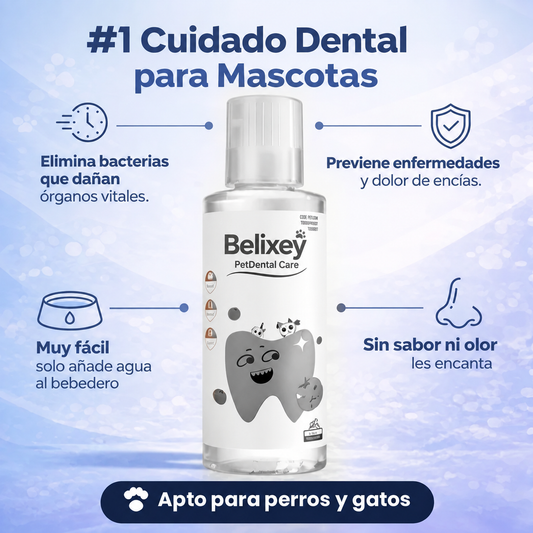 Protección Dental para Mascotas