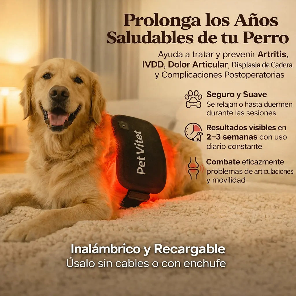 Pet vital Luz terapia roja