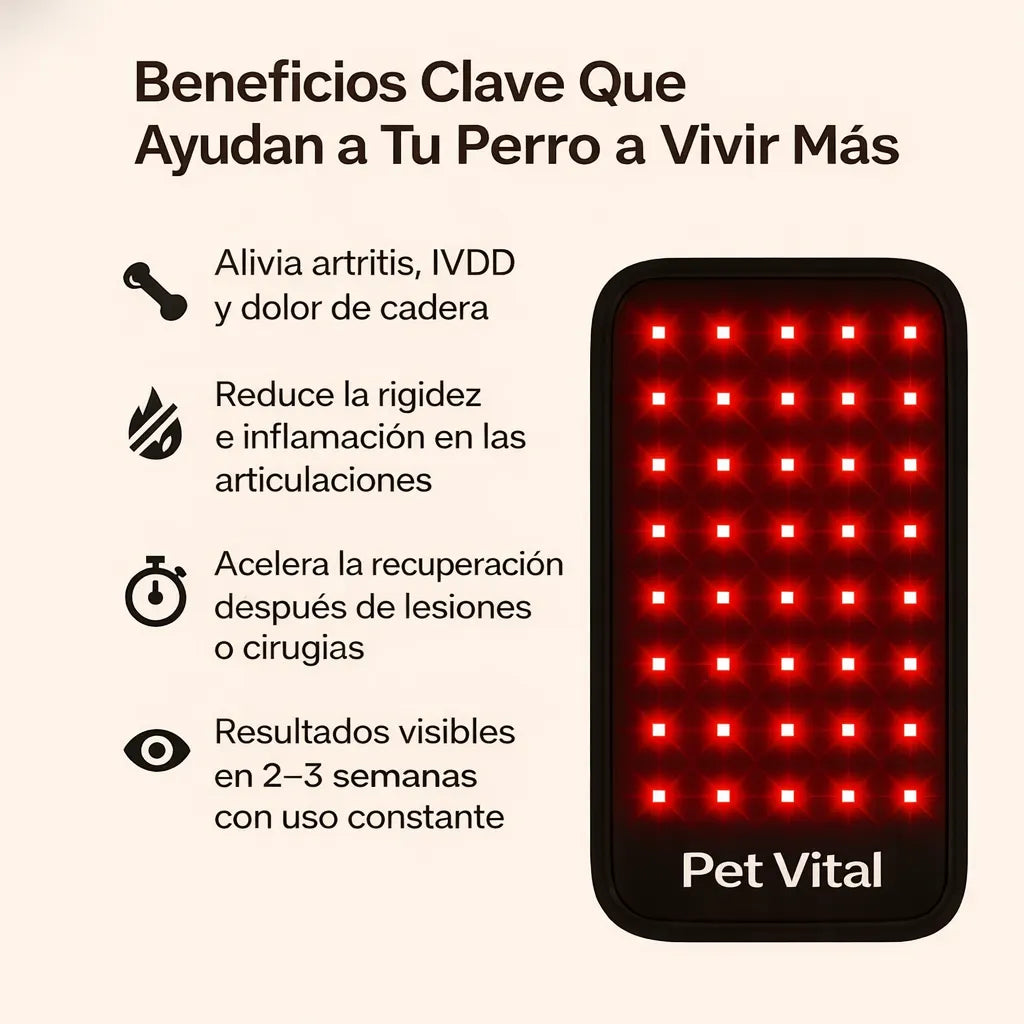 Pet vital Luz terapia roja